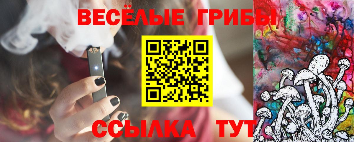 Галлюциногенные грибы Psilocybe Барнаул